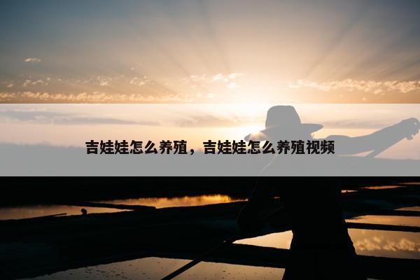 吉娃娃怎么养殖，吉娃娃怎么养殖视频