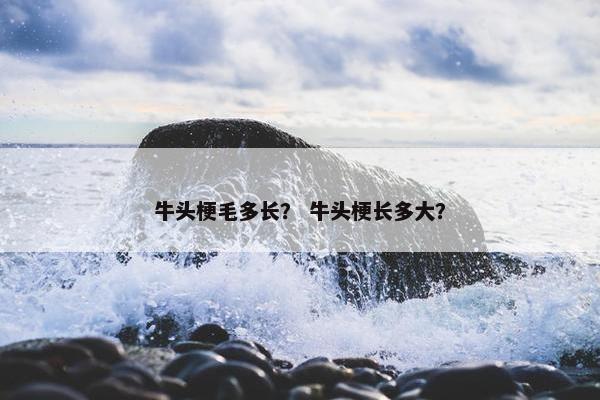 牛头梗毛多长？ 牛头梗长多大？