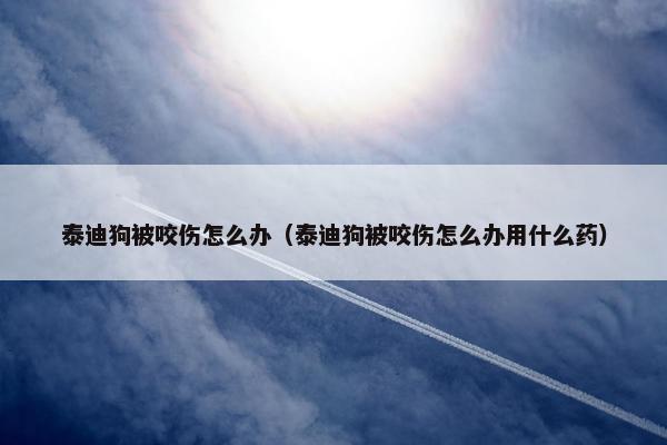 泰迪狗被咬伤怎么办（泰迪狗被咬伤怎么办用什么药）