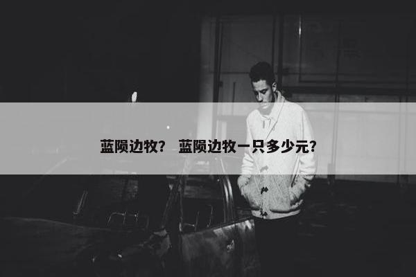 蓝陨边牧？ 蓝陨边牧一只多少元？
