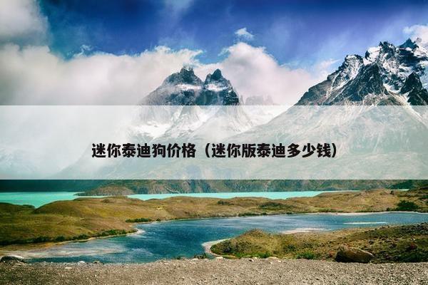 迷你泰迪狗价格（迷你版泰迪多少钱）