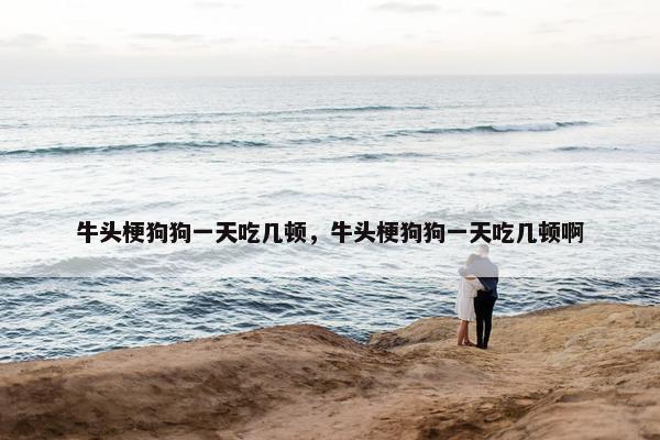 牛头梗狗狗一天吃几顿，牛头梗狗狗一天吃几顿啊