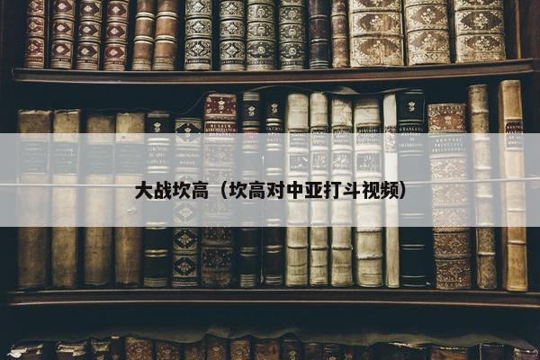 大战坎高（坎高对中亚打斗视频）
