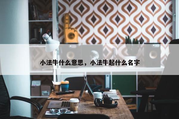 小法牛什么意思，小法牛起什么名字