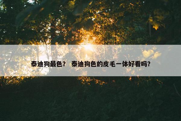 泰迪狗最色？ 泰迪狗色的皮毛一体好看吗？