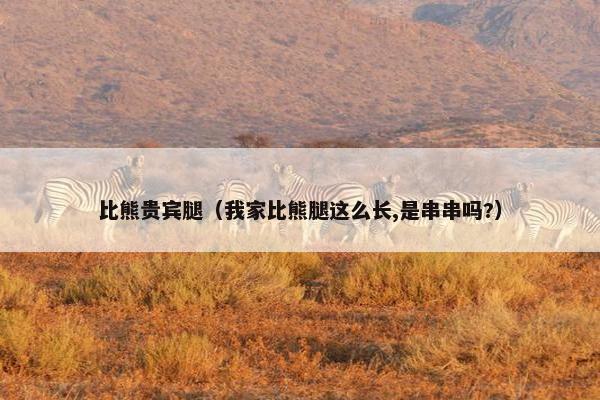 比熊贵宾腿（我家比熊腿这么长,是串串吗?）
