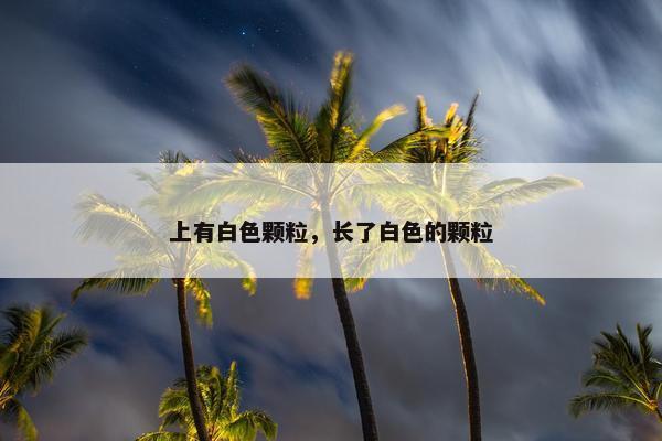 上有白色颗粒，长了白色的颗粒