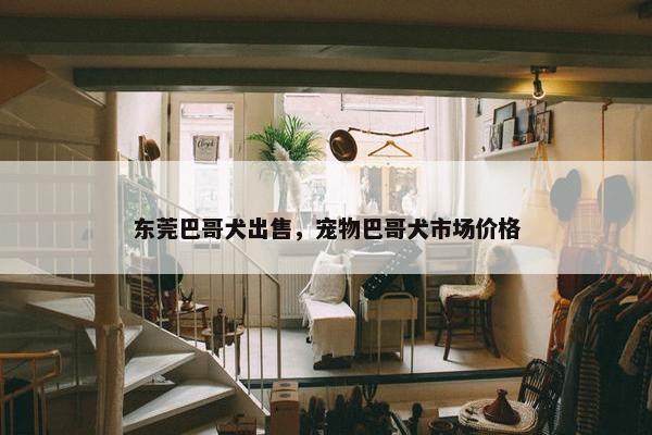 东莞巴哥犬出售,宠物巴哥犬市场价格 东莞巴哥犬出售,宠物巴哥犬市场价格