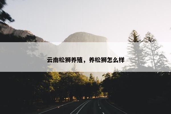 云南松狮养殖，养松狮怎么样