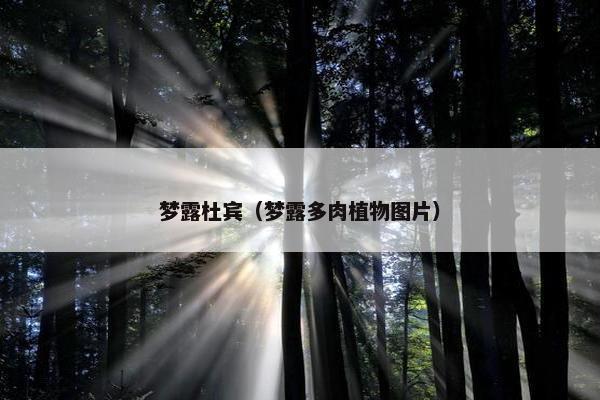 梦露杜宾（梦露多肉植物图片）