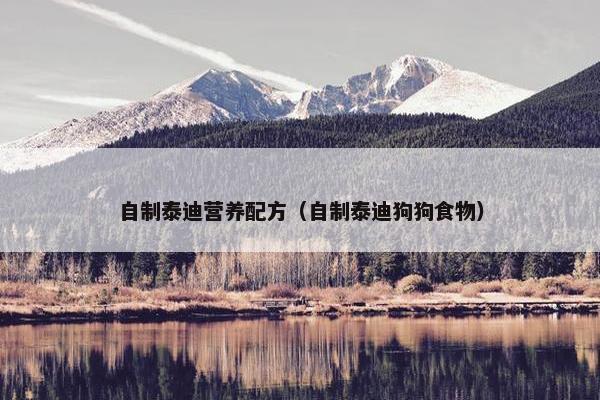 自制泰迪营养配方（自制泰迪狗狗食物）