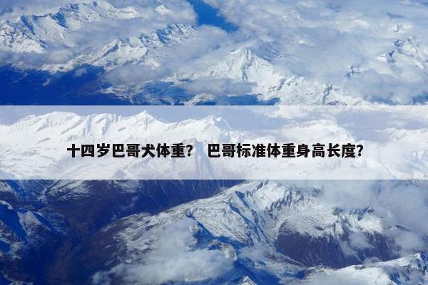 十四岁巴哥犬体重？ 巴哥标准体重身高长度？