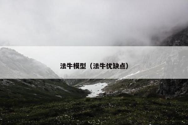 法牛模型（法牛优缺点）