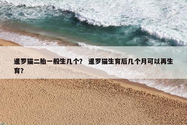 暹罗猫二胎一般生几个？ 暹罗猫生育后几个月可以再生育？