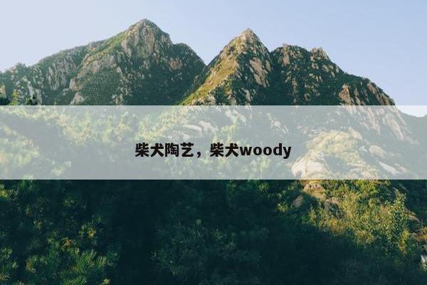 柴犬陶艺，柴犬woody