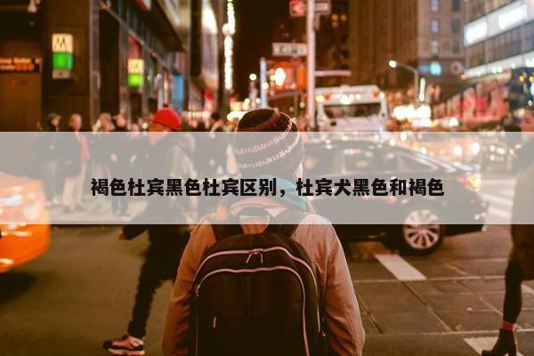 褐色杜宾黑色杜宾区别，杜宾犬黑色和褐色