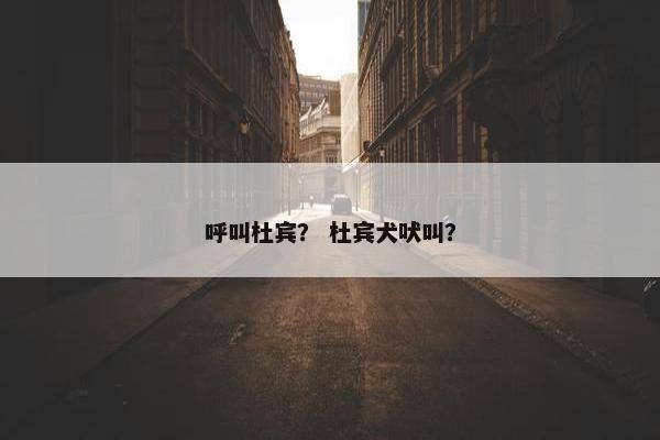 呼叫杜宾？ 杜宾犬吠叫？