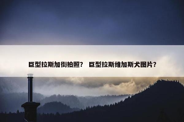 巨型拉斯加街拍照？ 巨型拉斯维加斯犬图片？