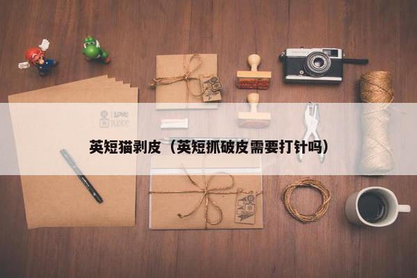 英短猫剥皮（英短抓破皮需要打针吗）