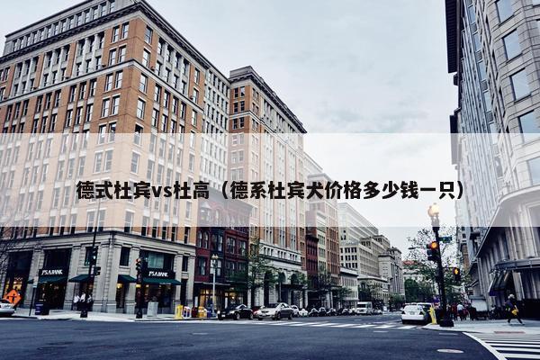 德式杜宾vs杜高（德系杜宾犬价格多少钱一只）