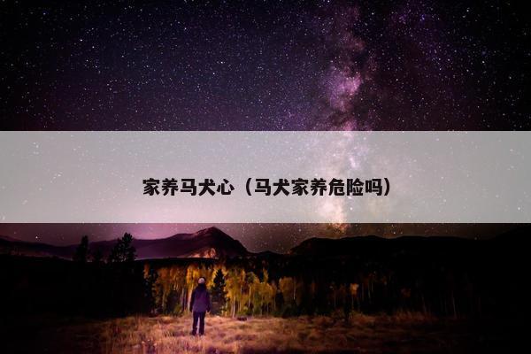 家养马犬心（马犬家养危险吗）