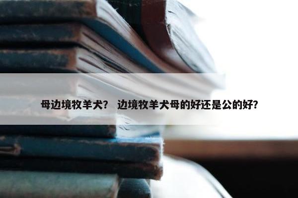 母边境牧羊犬？ 边境牧羊犬母的好还是公的好？