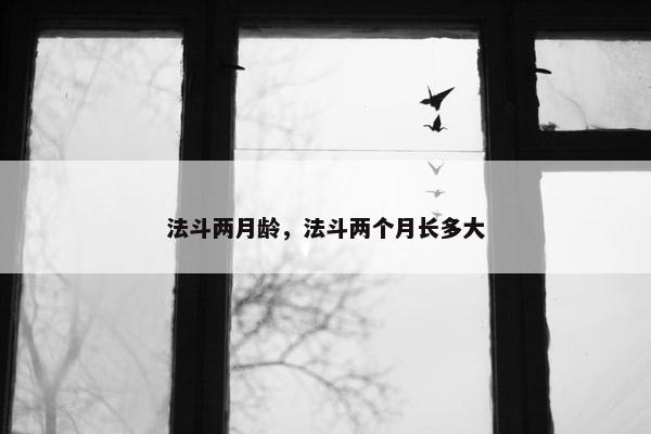 法斗两月龄，法斗两个月长多大