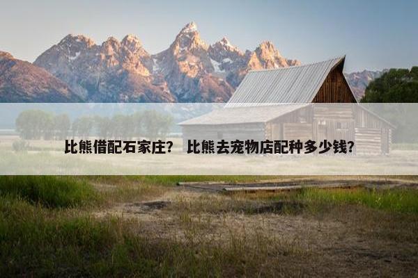 比熊借配石家庄？ 比熊去宠物店配种多少钱？