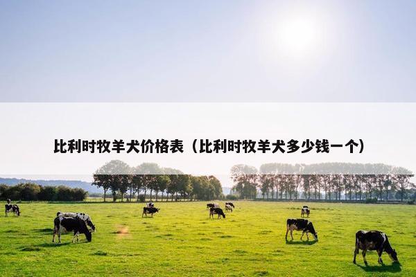 比利时牧羊犬价格表（比利时牧羊犬多少钱一个）