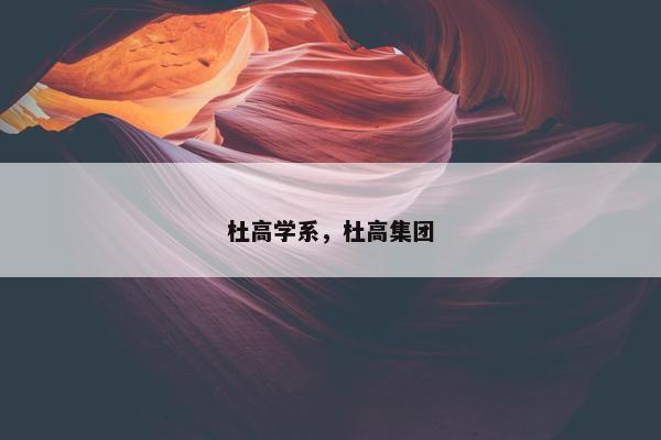 杜高学系，杜高集团