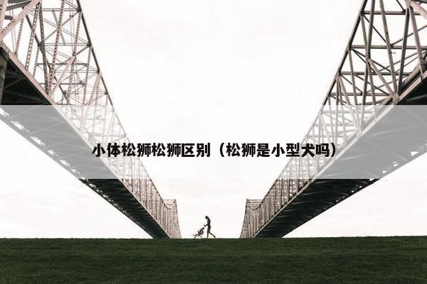 小体松狮松狮区别（松狮是小型犬吗）