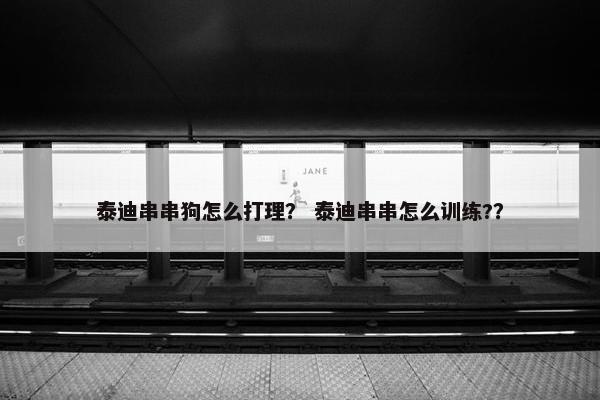 泰迪串串狗怎么打理？ 泰迪串串怎么训练?？