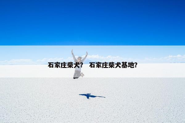 石家庄柴犬？ 石家庄柴犬基地？