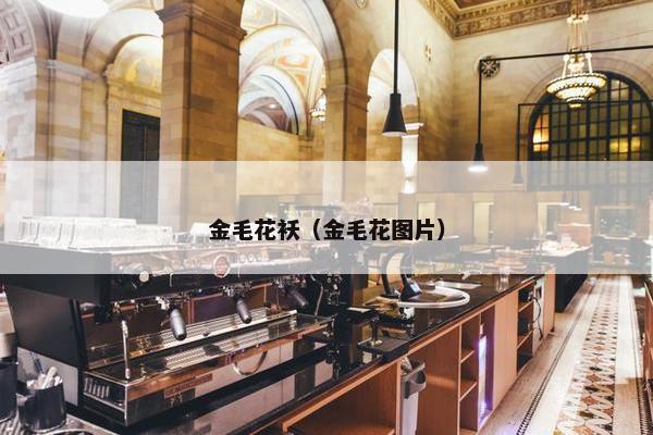 金毛花袄（金毛花图片）