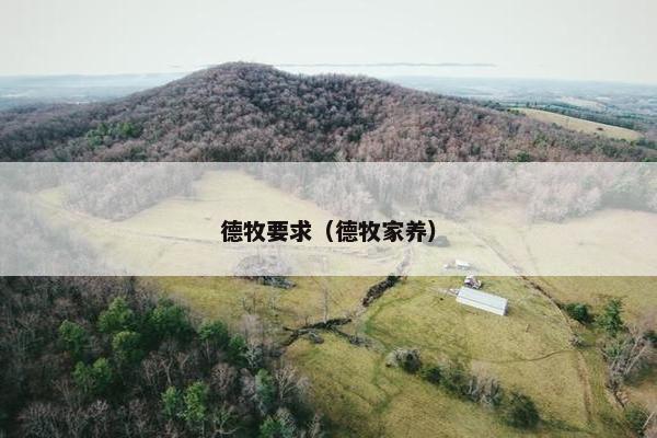 德牧要求（德牧家养）