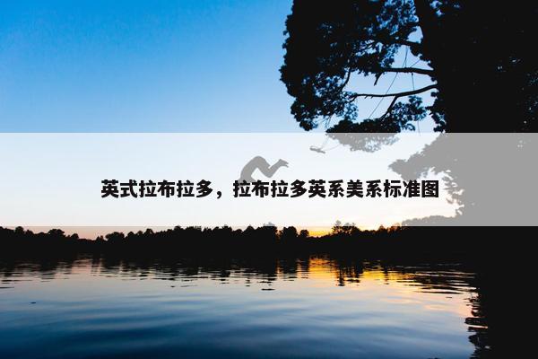 英式拉布拉多，拉布拉多英系美系标准图