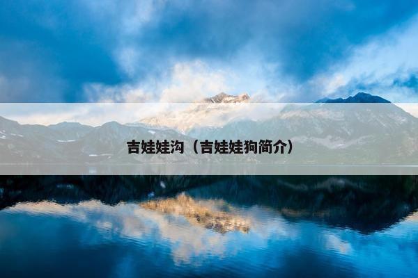吉娃娃沟（吉娃娃狗简介）