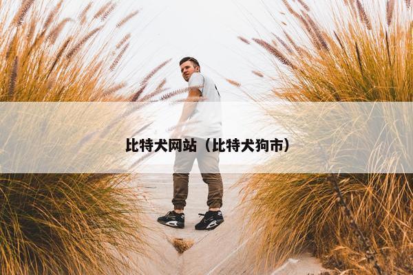 比特犬网站（比特犬狗市）