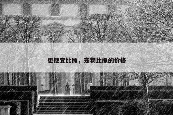 更便宜比熊，宠物比熊的价格