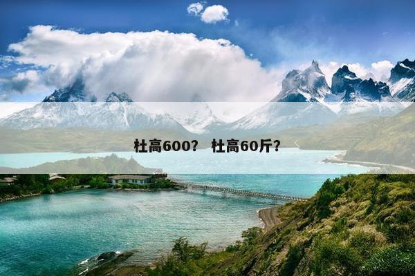 杜高600？ 杜高60斤？