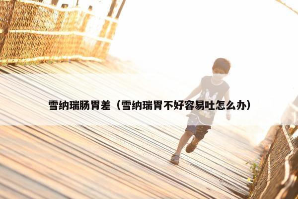 雪纳瑞肠胃差（雪纳瑞胃不好容易吐怎么办）