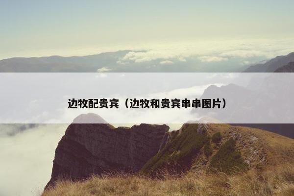 边牧配贵宾（边牧和贵宾串串图片）