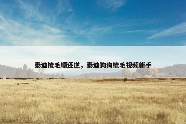 泰迪梳毛顺还逆，泰迪狗狗梳毛视频新手