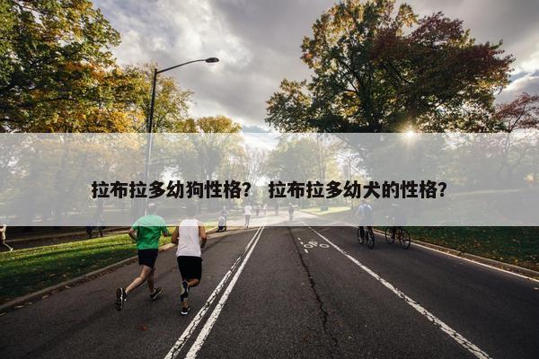 拉布拉多幼狗性格？ 拉布拉多幼犬的性格？