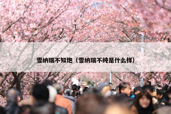 雪纳瑞不知饱（雪纳瑞不纯是什么样）