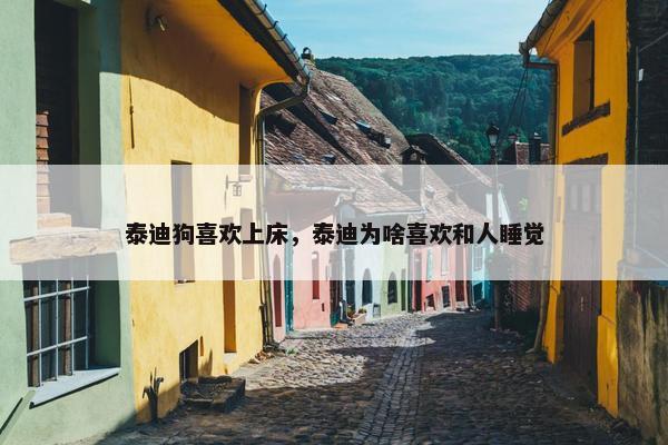 泰迪狗喜欢上床，泰迪为啥喜欢和人睡觉