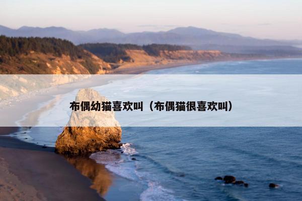 布偶幼猫喜欢叫（布偶猫很喜欢叫）