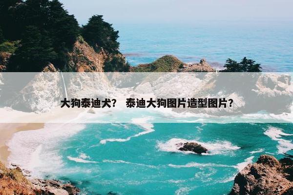 大狗泰迪犬？ 泰迪大狗图片造型图片？