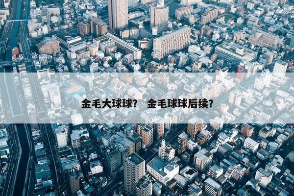 金毛大球球？ 金毛球球后续？