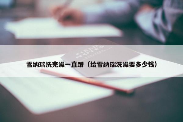 雪纳瑞洗完澡一直蹭（给雪纳瑞洗澡要多少钱）